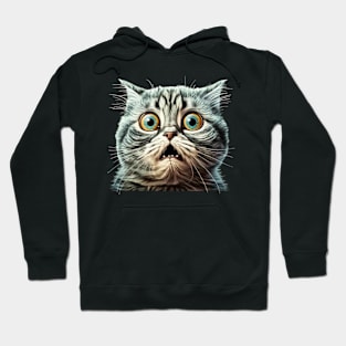 Funny Scared Cat Face, Cat Lover, Scaredy Cat Hoodie